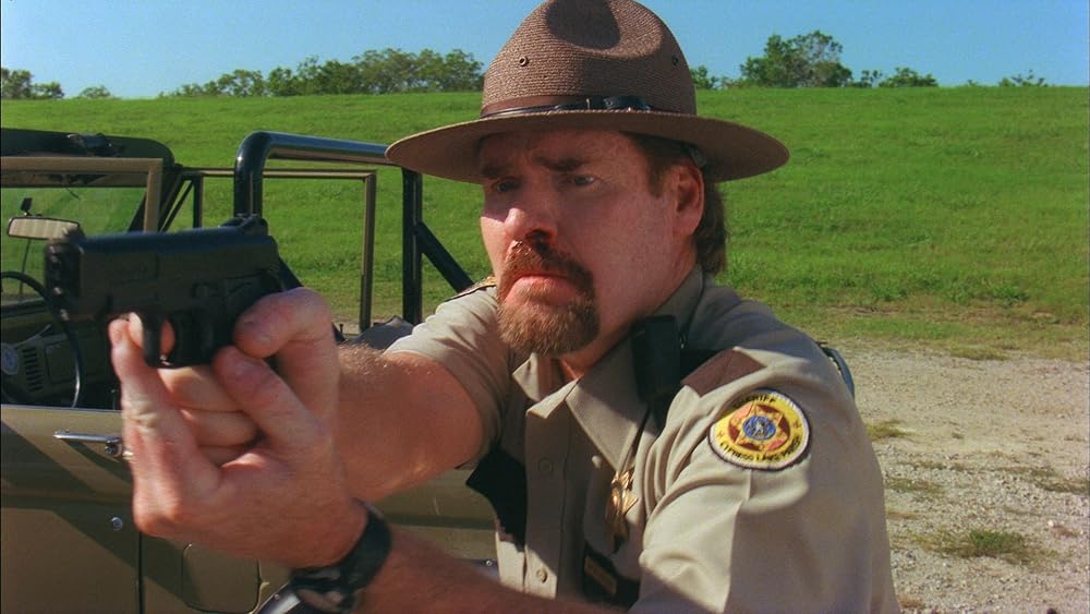 フライング・ジョーズの画像