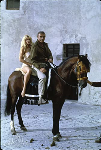 ネバーセイ・ネバーアゲインの画像