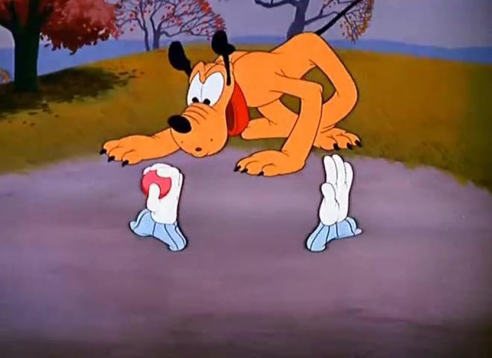 リスの手袋騒動の画像