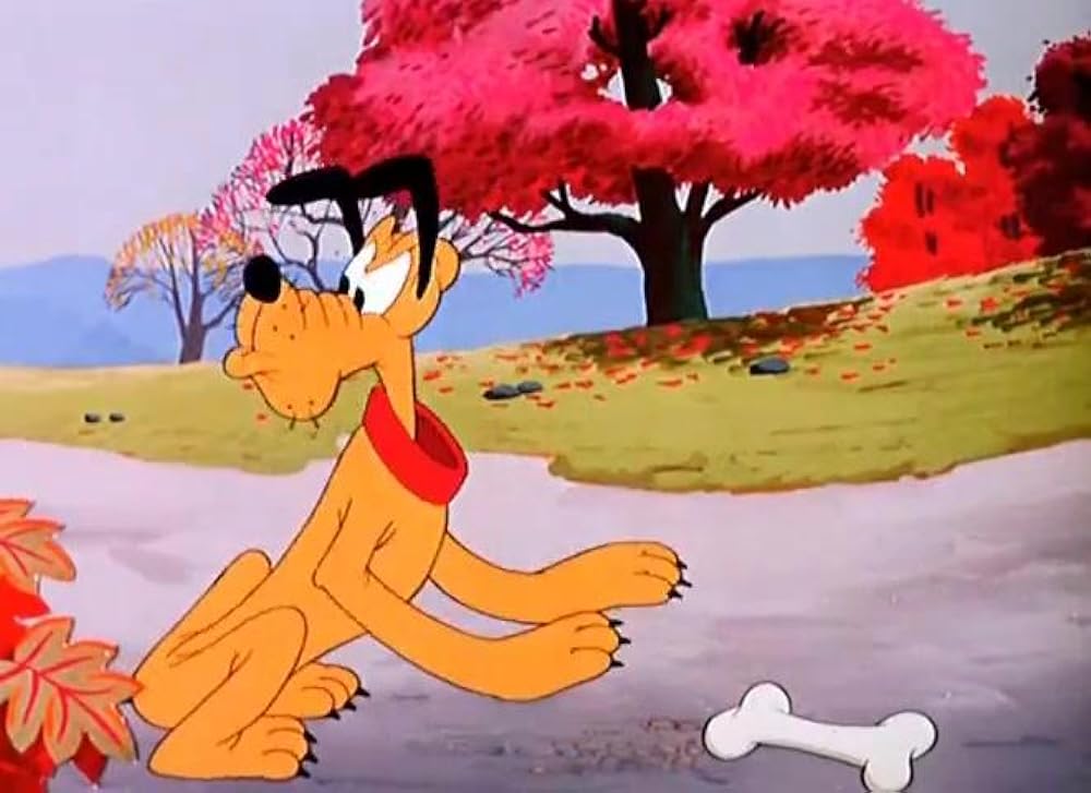 リスの手袋騒動の画像