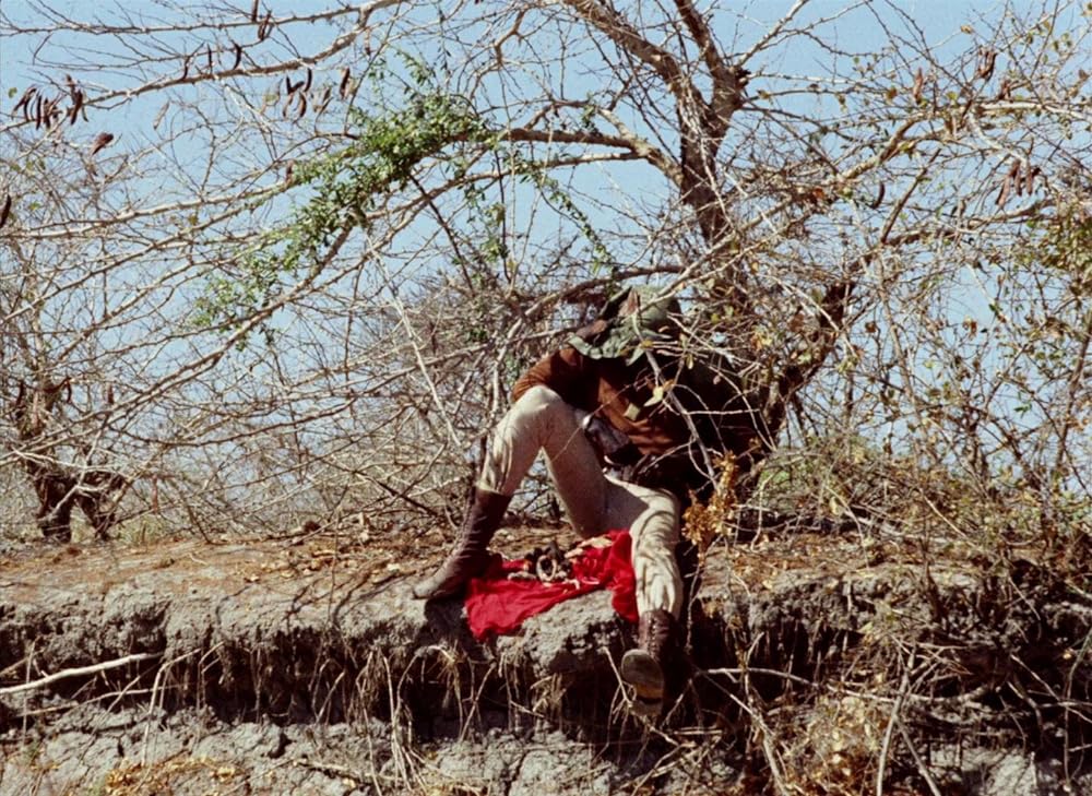 トゥキ・ブキ ハイエナの旅の画像