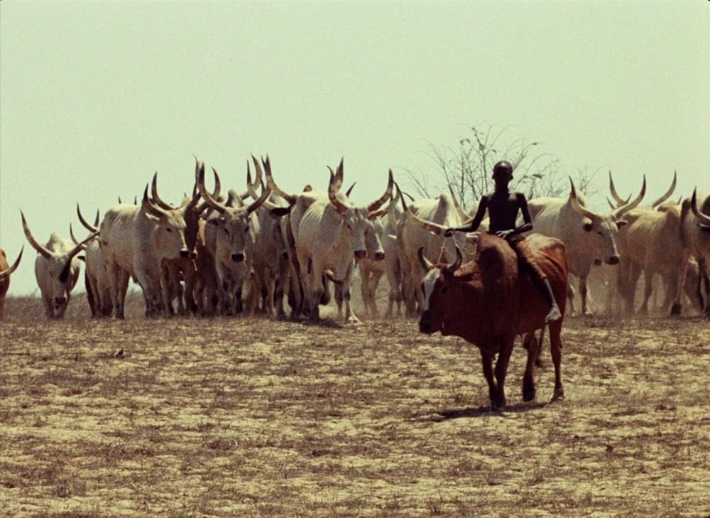 トゥキ・ブキ ハイエナの旅の画像