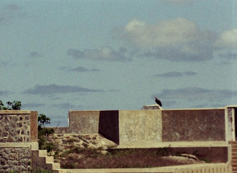 トゥキ・ブキ ハイエナの旅の画像