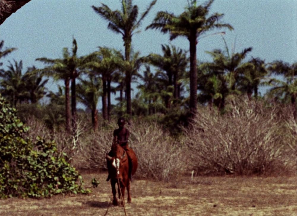 トゥキ・ブキ ハイエナの旅の画像