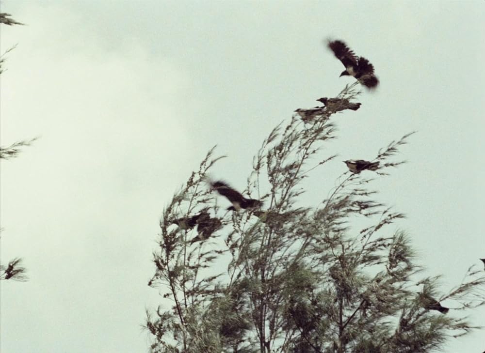 トゥキ・ブキ ハイエナの旅の画像