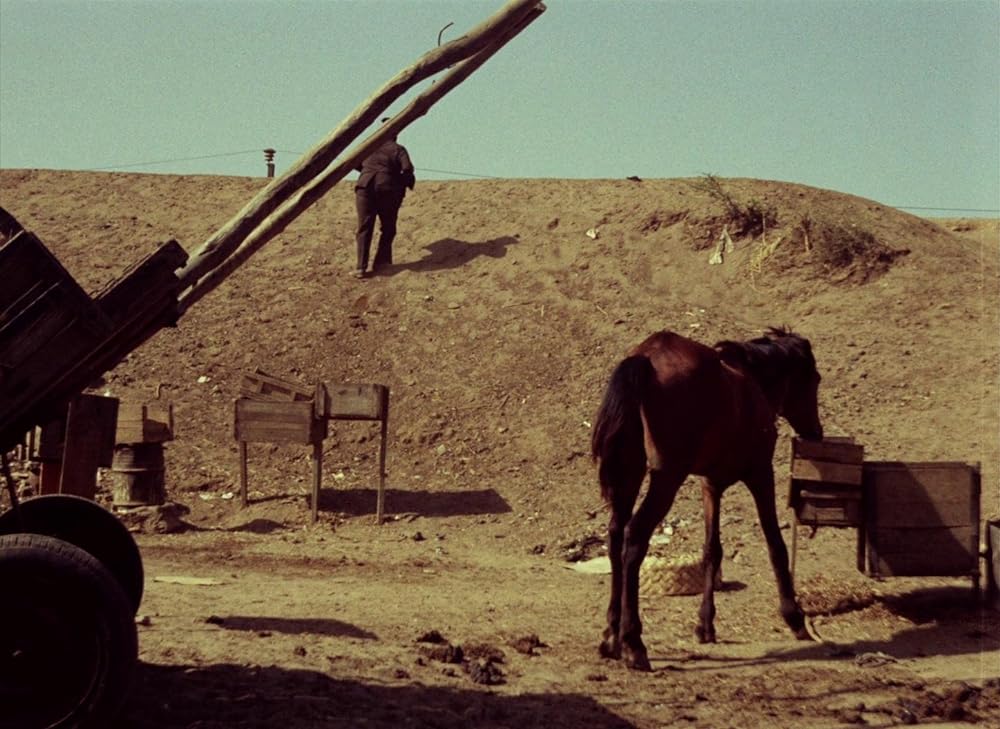 トゥキ・ブキ ハイエナの旅の画像