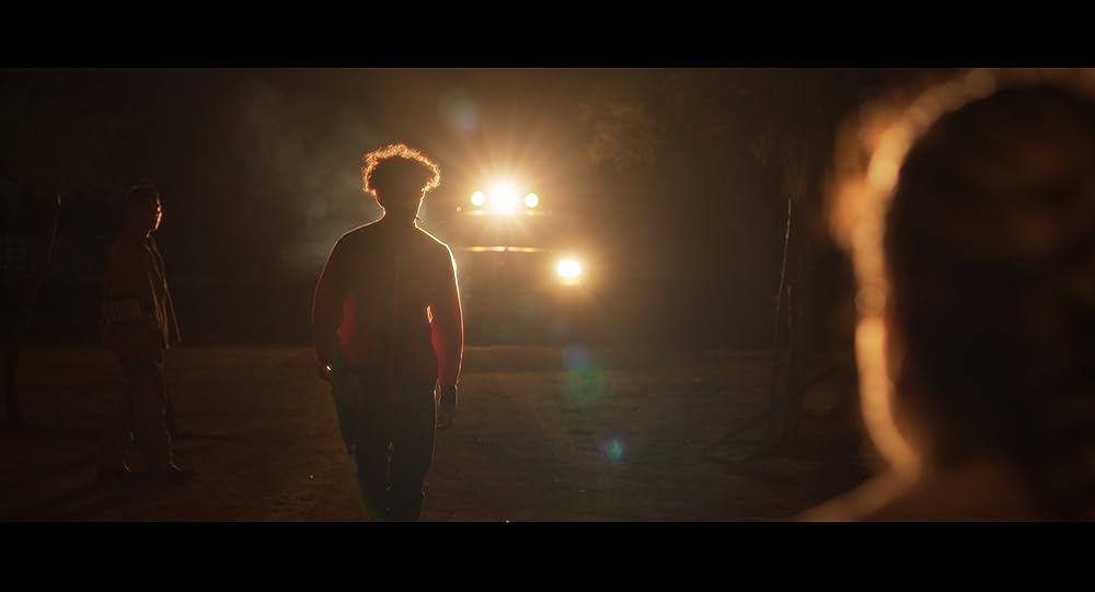 虚栄の果ての画像