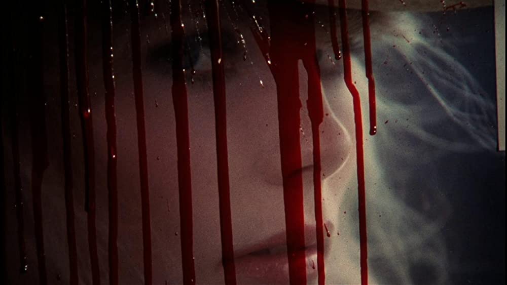 スター80の画像