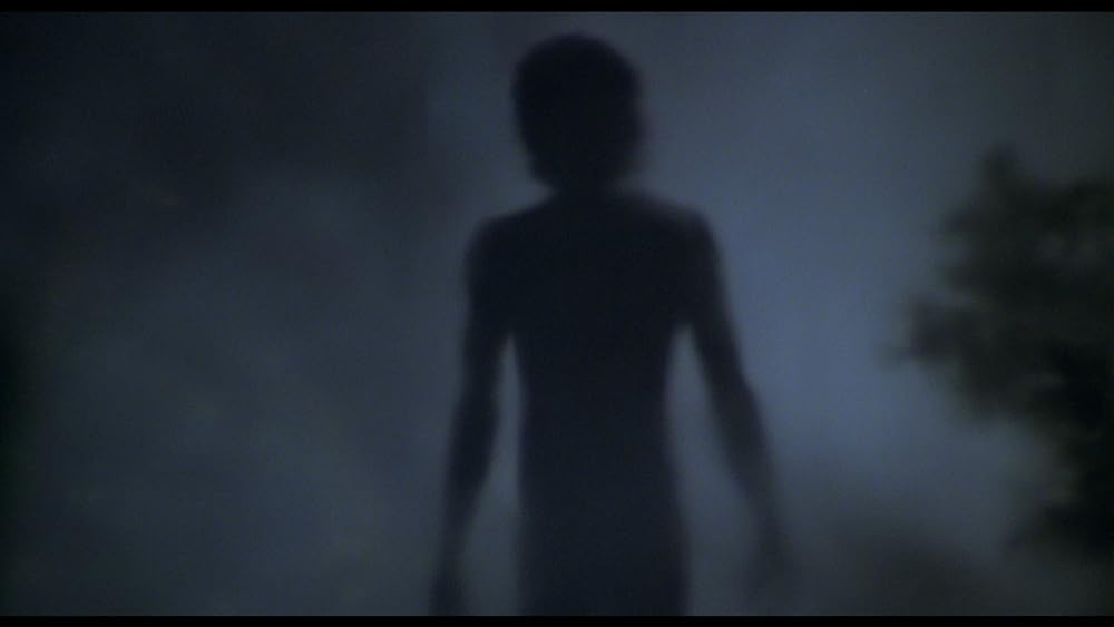 ザ・ラスト・ウェーブの画像