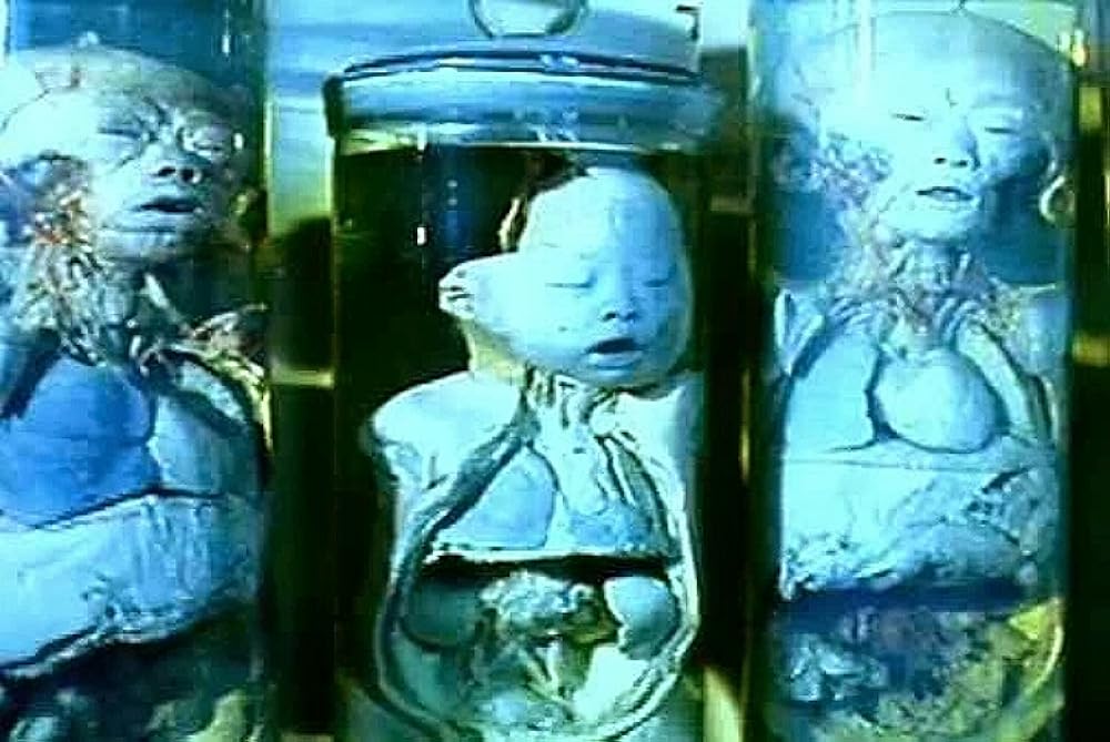 黒い太陽七三一 II／悪魔の生体実験室の画像