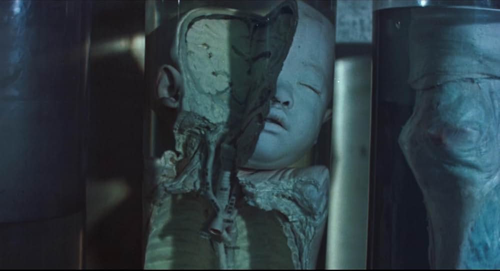 黒い太陽七三一 II／悪魔の生体実験室の画像