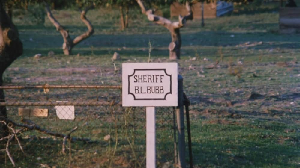 悪魔のチアリーダーズの画像