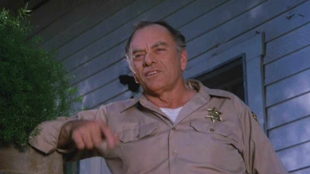 悪魔のチアリーダーズの画像