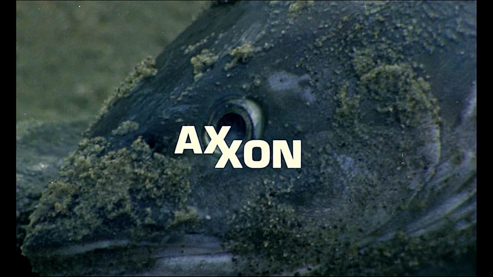 ドムドム・ビジョンの画像