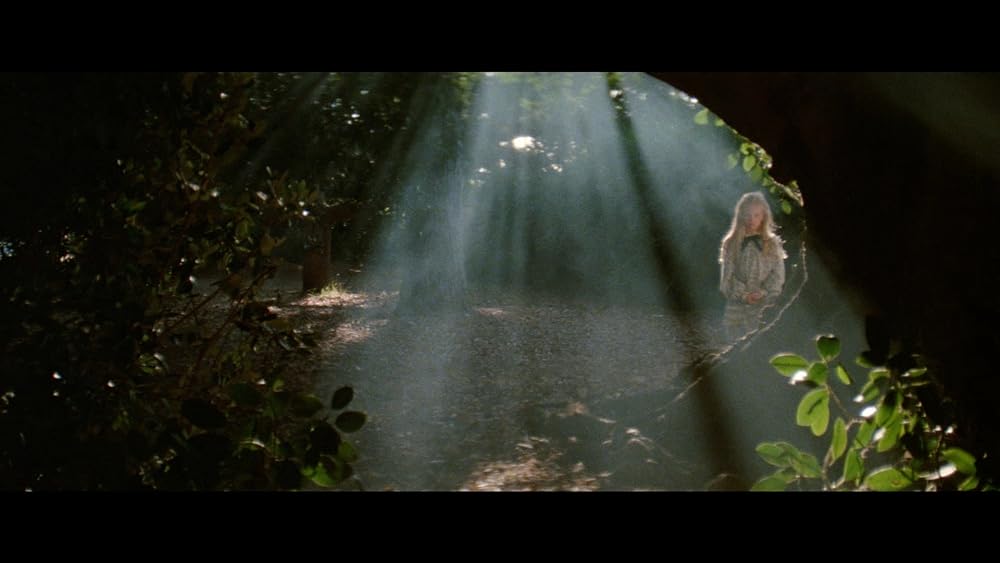 墜落大空港／ジャンボ・墜落 ザ・サバイバーの画像