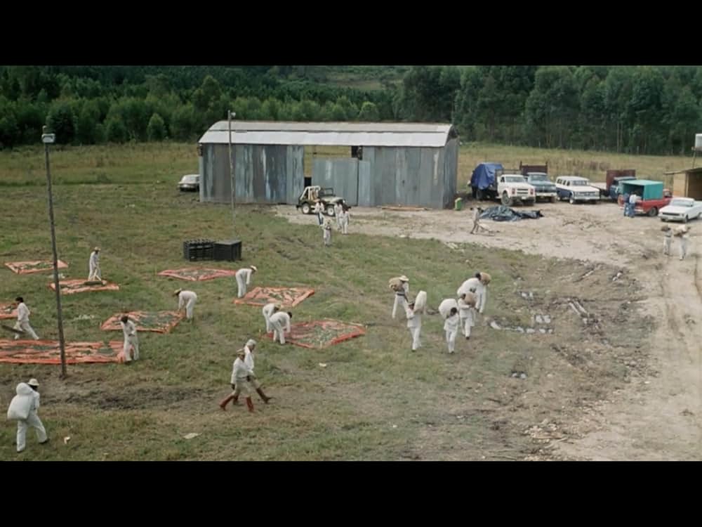 コカイン・ウォーズの画像