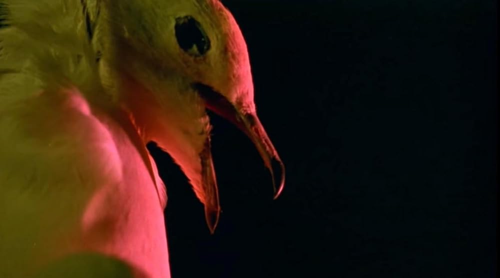 ゲルハイドの画像