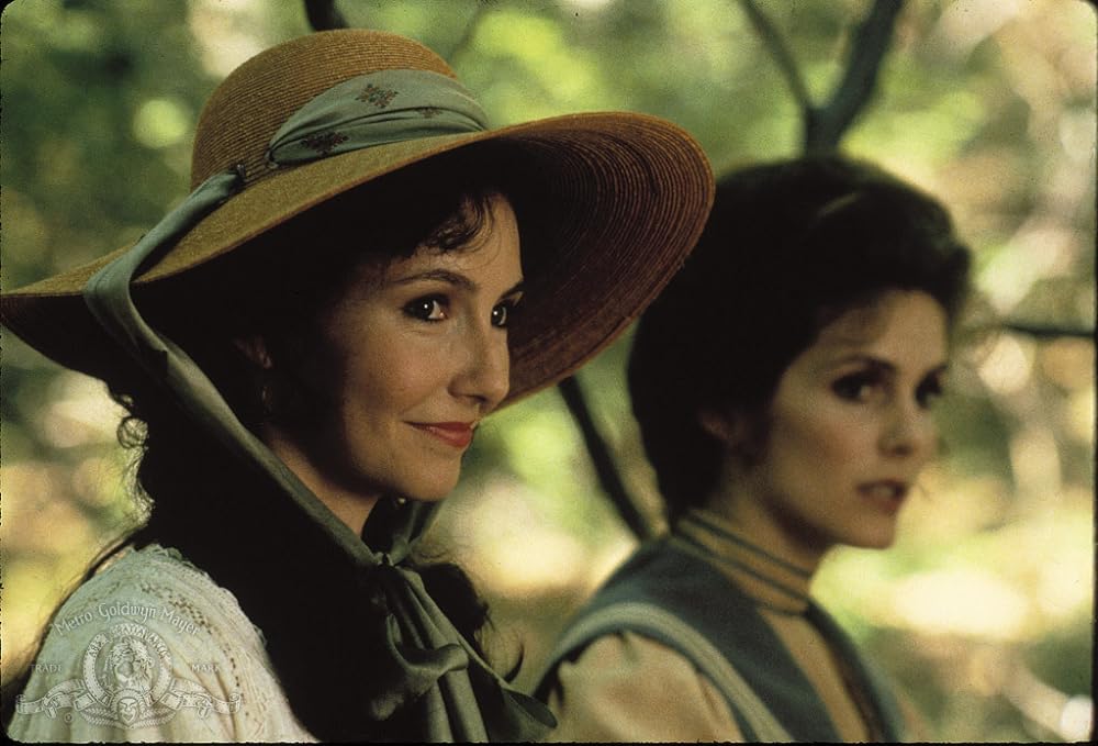 サマー・ナイトの画像