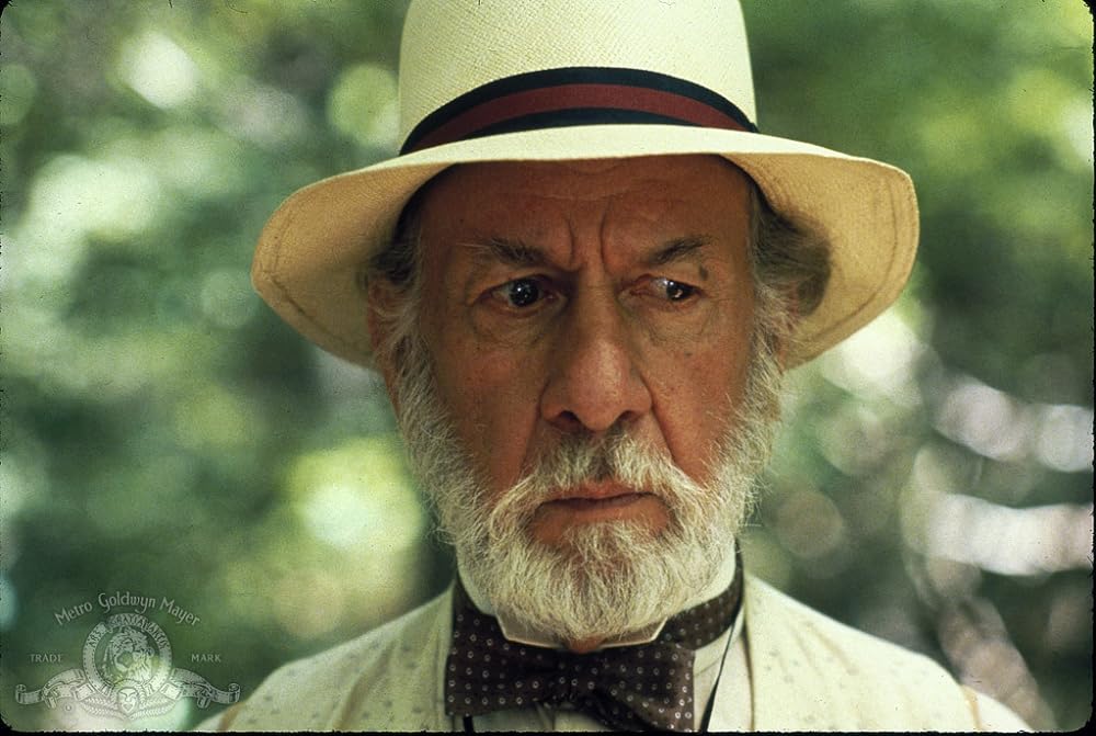 サマー・ナイトの画像