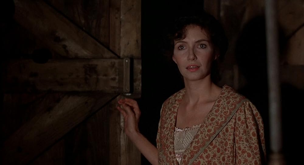 サマー・ナイトの画像