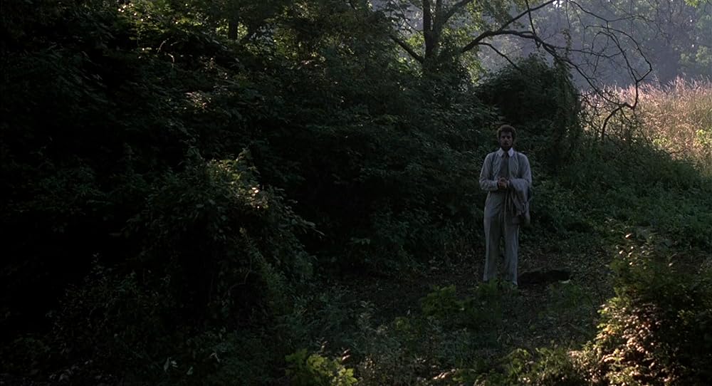 サマー・ナイトの画像