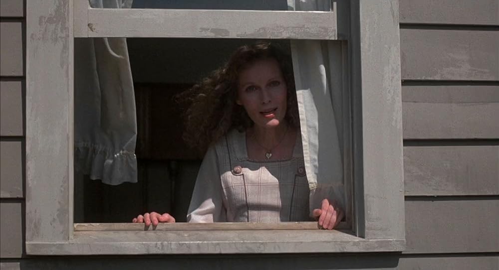 サマー・ナイトの画像