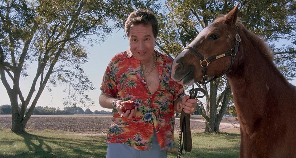 ハート・オブ・ミッドナイトの画像