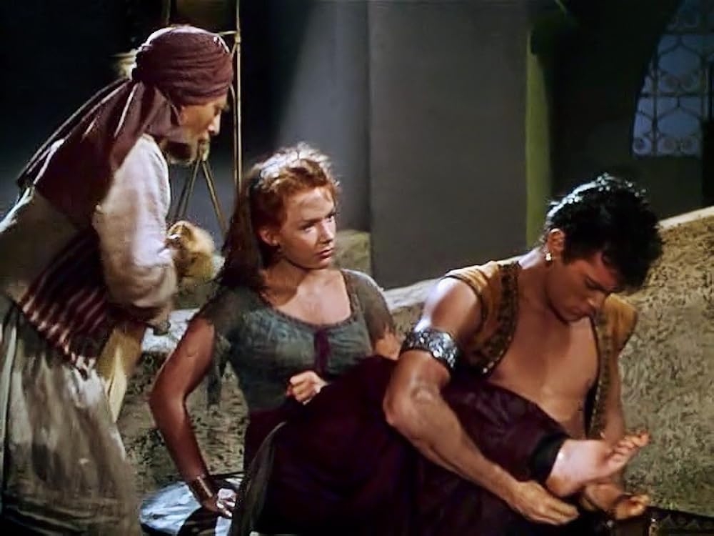 盗賊王子の画像