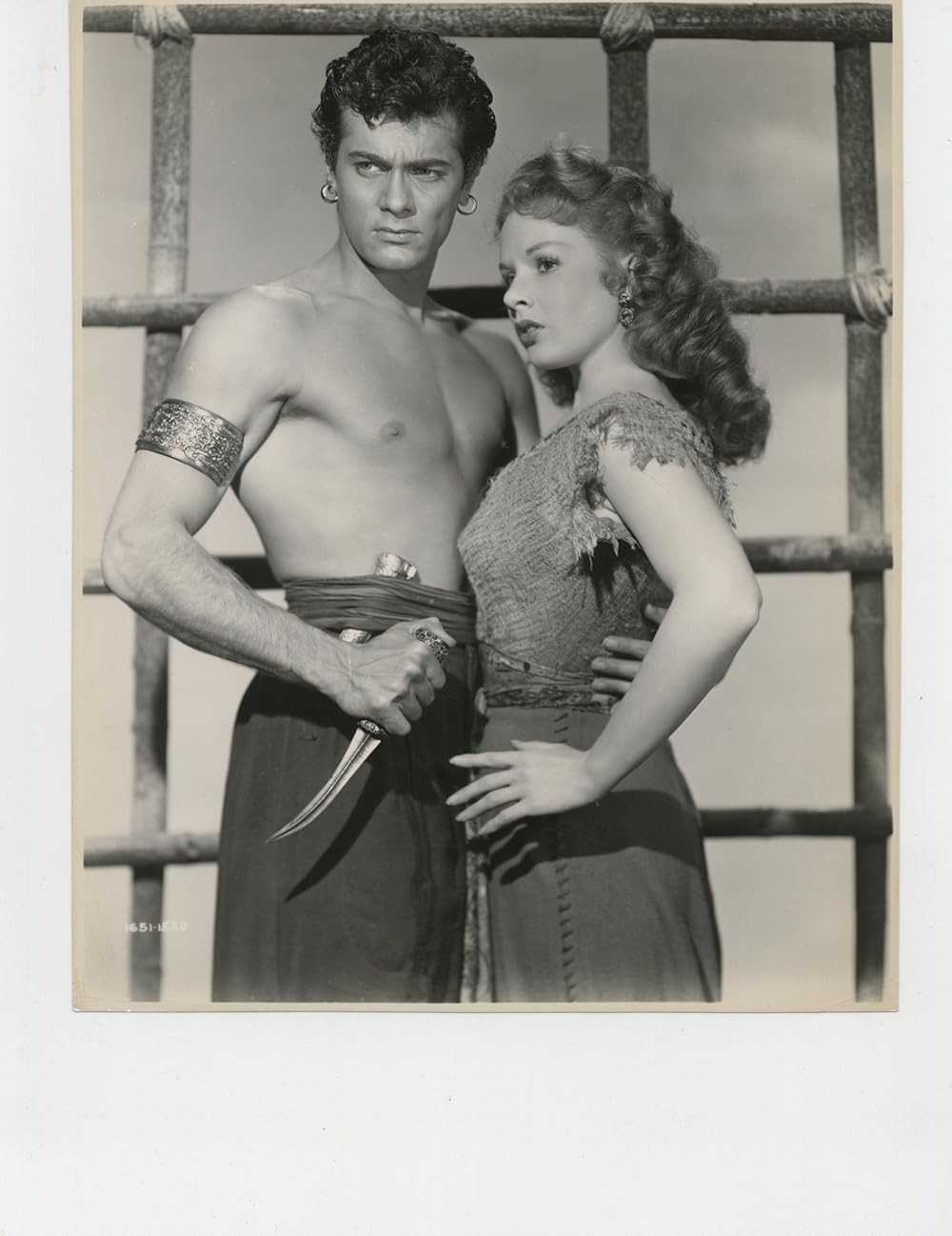 盗賊王子の画像