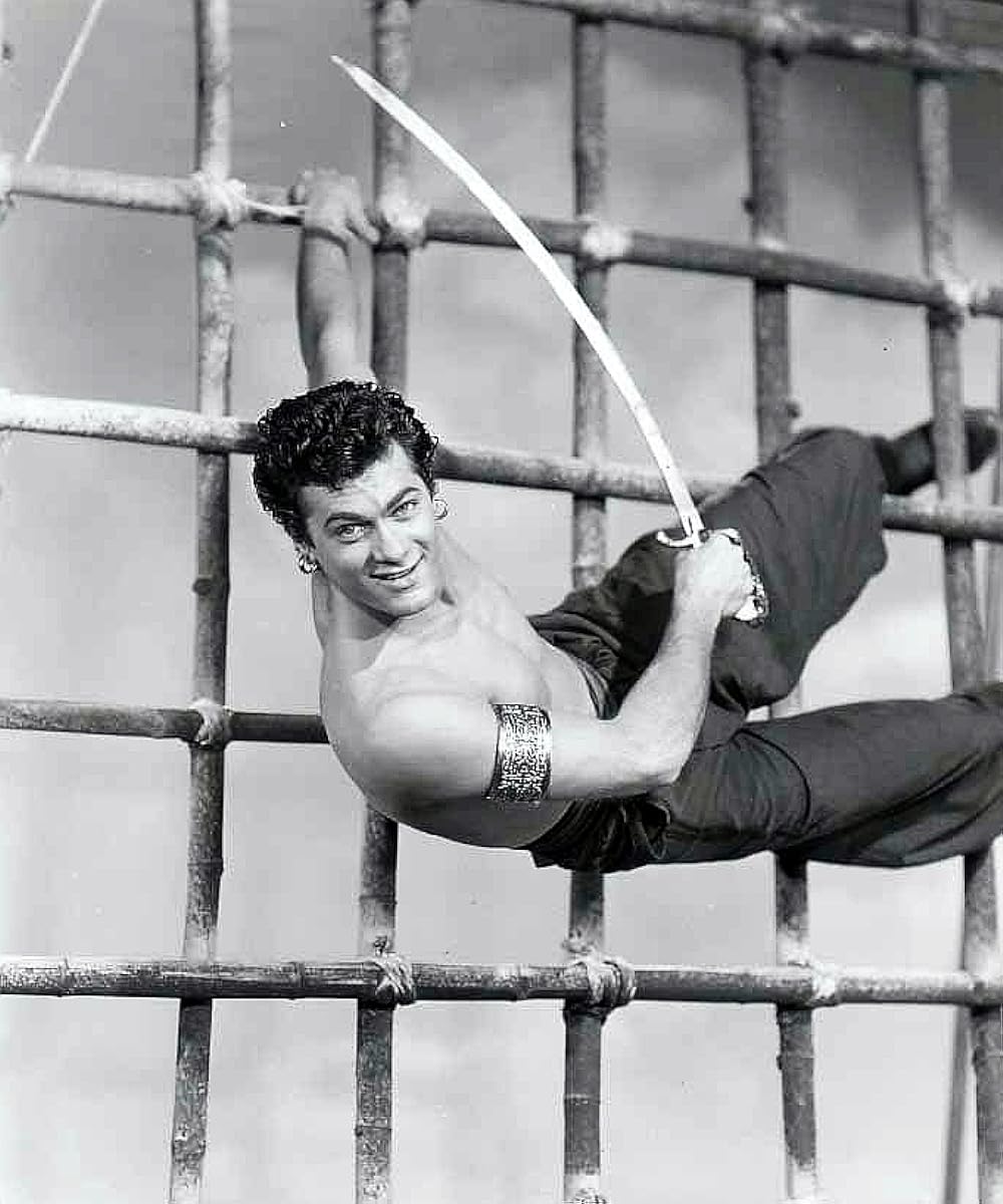 盗賊王子の画像