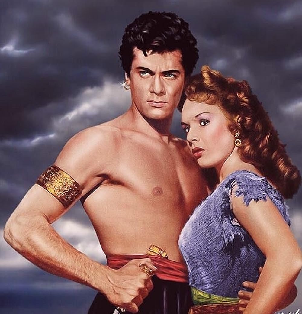 盗賊王子の画像