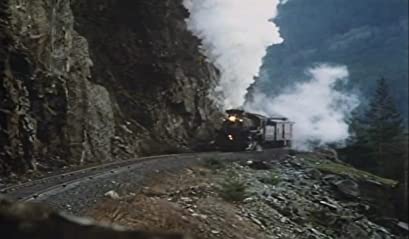 グレイフォックスの画像