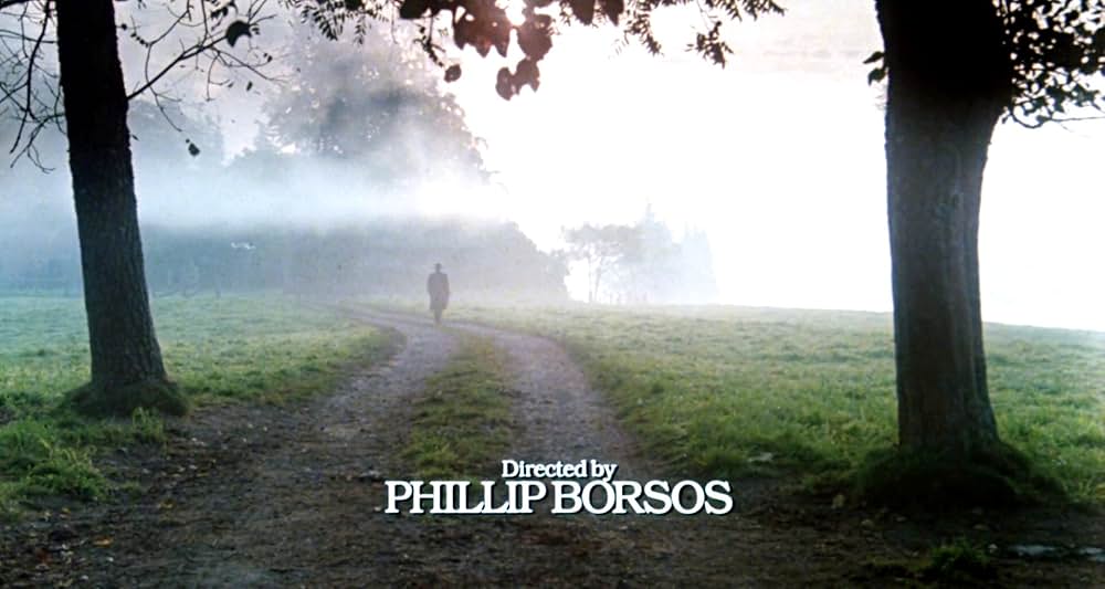 グレイフォックスの画像