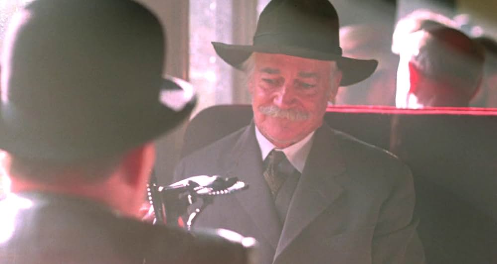 グレイフォックスの画像