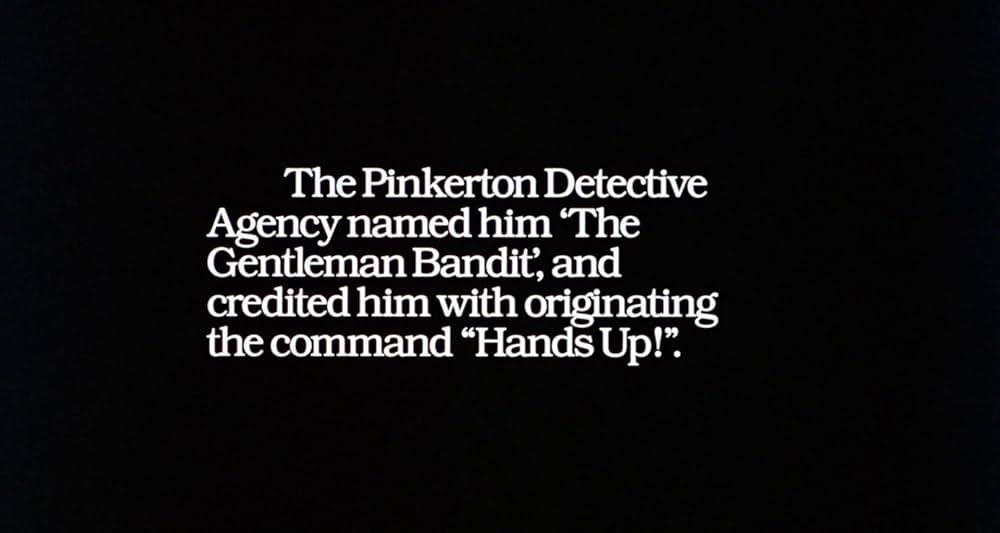 グレイフォックスの画像