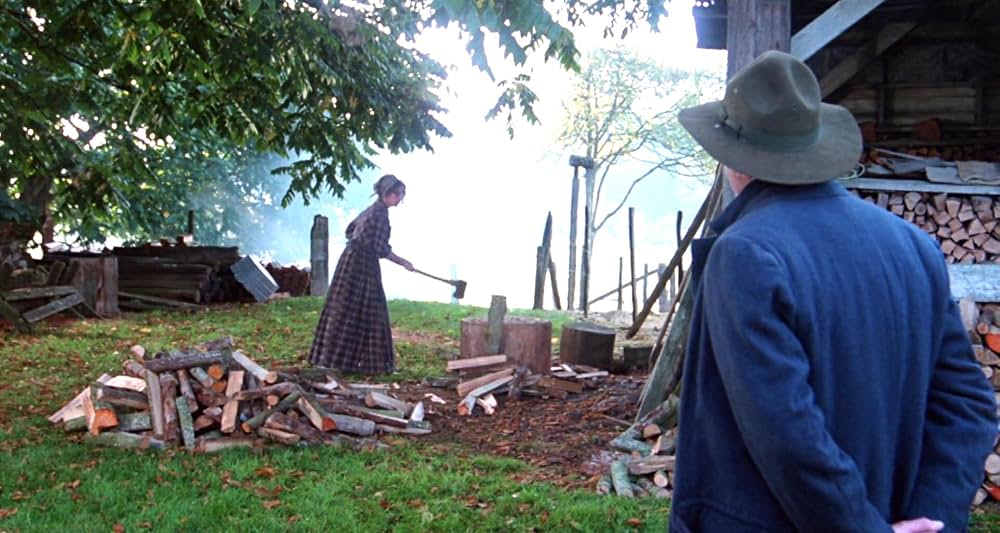 グレイフォックスの画像