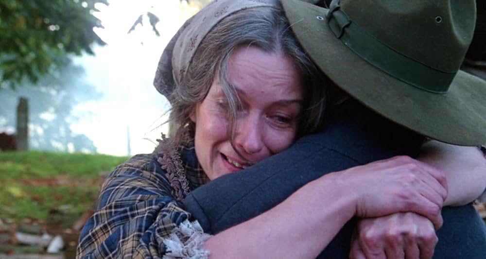 グレイフォックスの画像