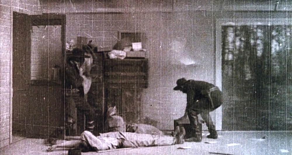 グレイフォックスの画像