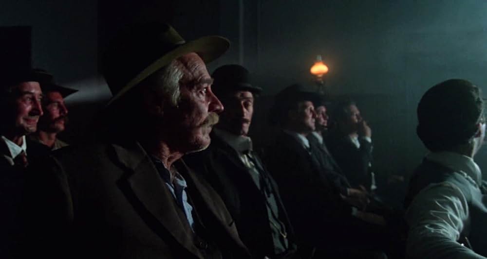 グレイフォックスの画像