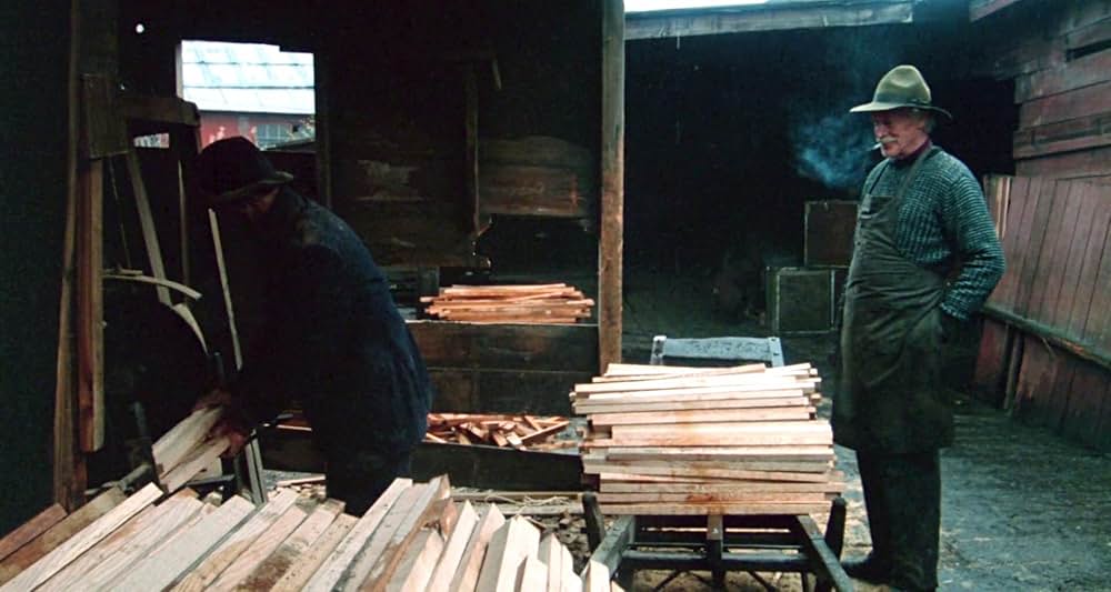 グレイフォックスの画像