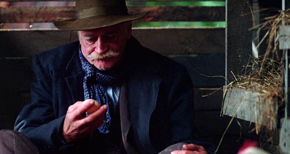 グレイフォックスの画像