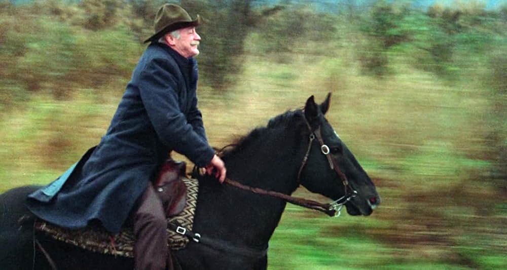 グレイフォックスの画像