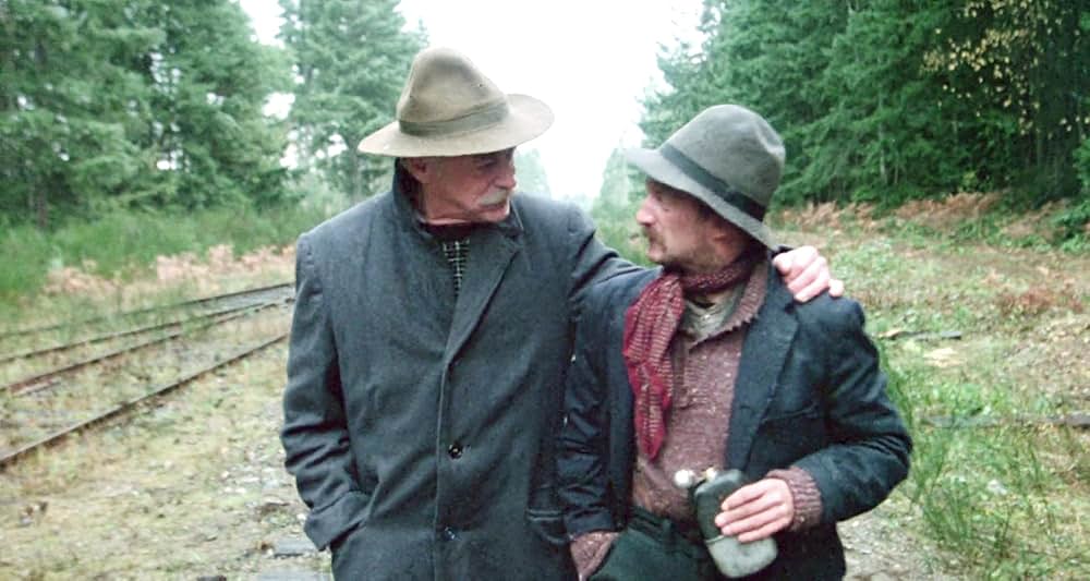 グレイフォックスの画像