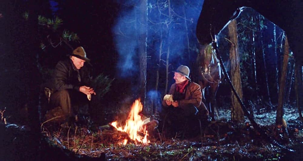 グレイフォックスの画像