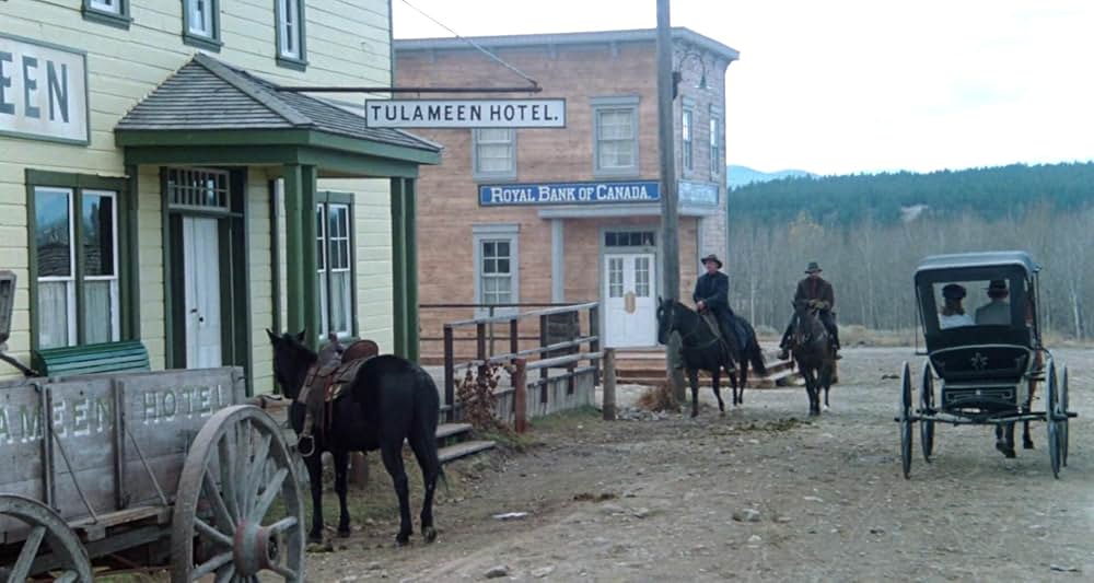 グレイフォックスの画像