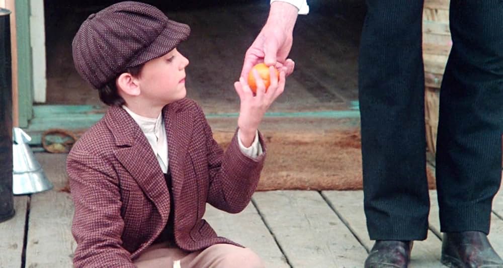 グレイフォックスの画像