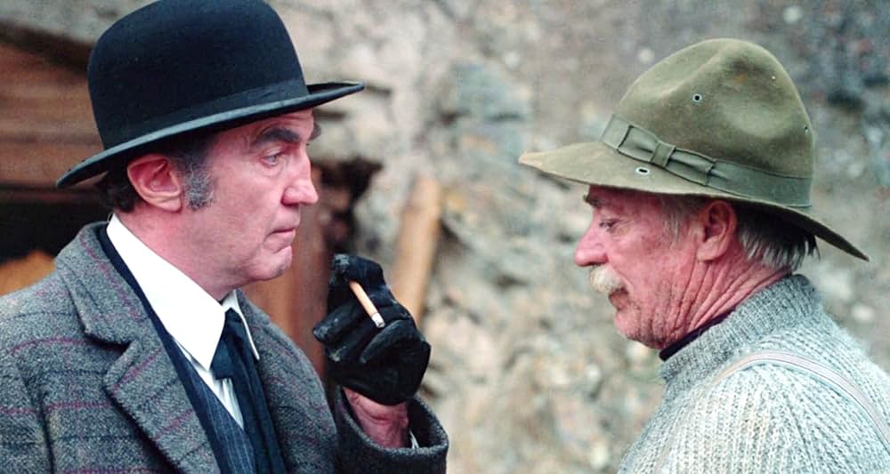 グレイフォックスの画像