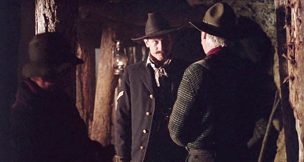 グレイフォックスの画像