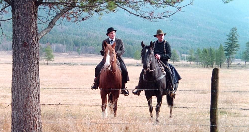 グレイフォックスの画像