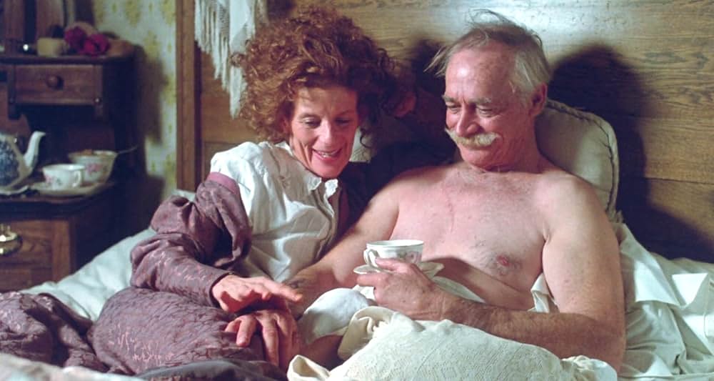 グレイフォックスの画像